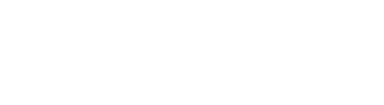 steerdev