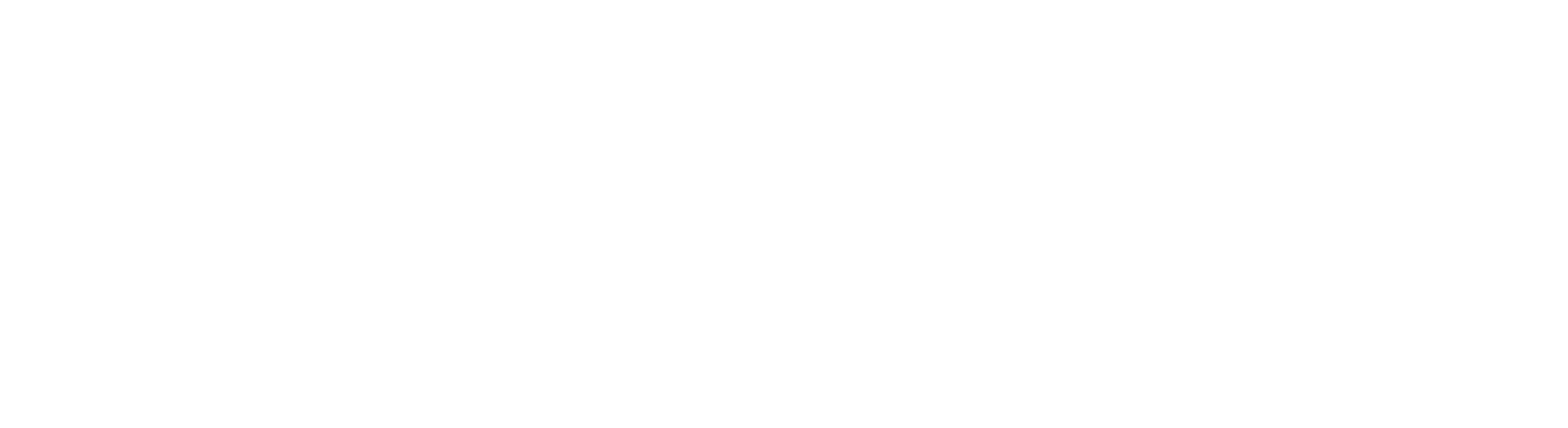 steerdev